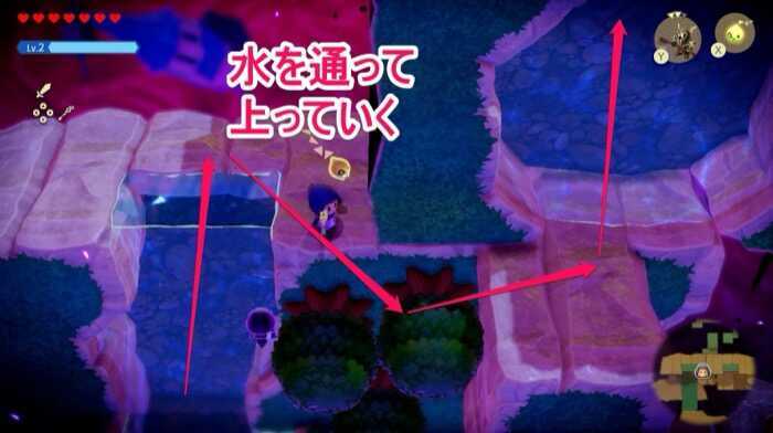 水中を通って上る