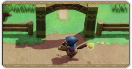 レースパーシャル