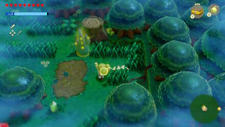 いにしえの森しるべ