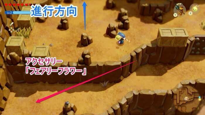 フェアリーフラワーがある場所