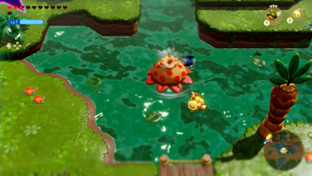 アナモネア画像