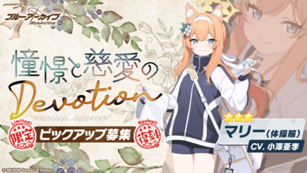 憧憬と慈愛のDevotion画像