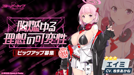 胸燃ゆる理想の可変性画像