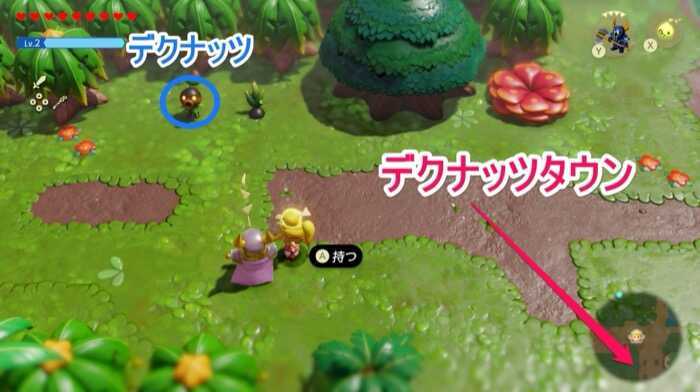 デクナッツとデクナッツタウンまでの道