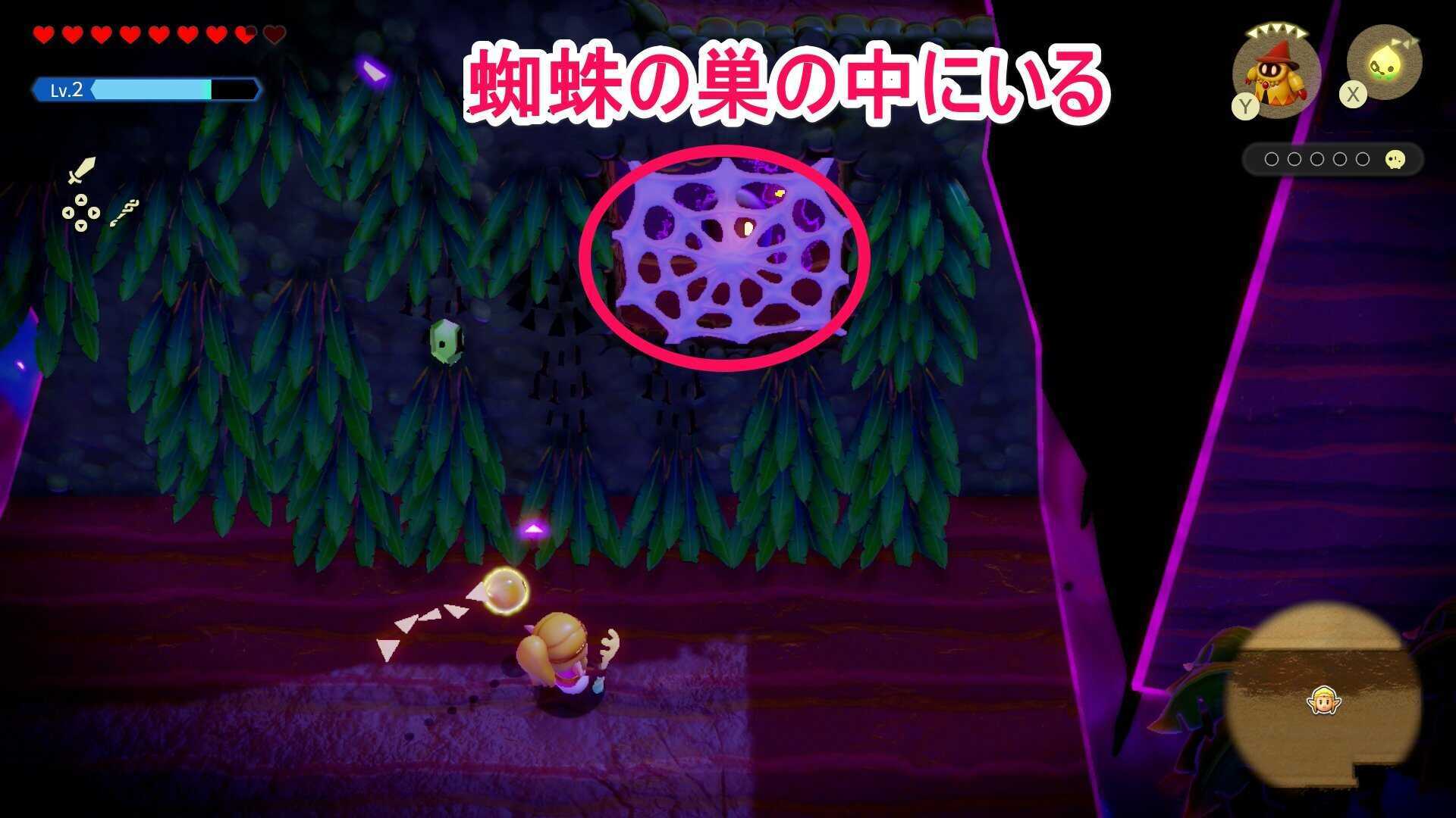 蜘蛛の巣の中にいる