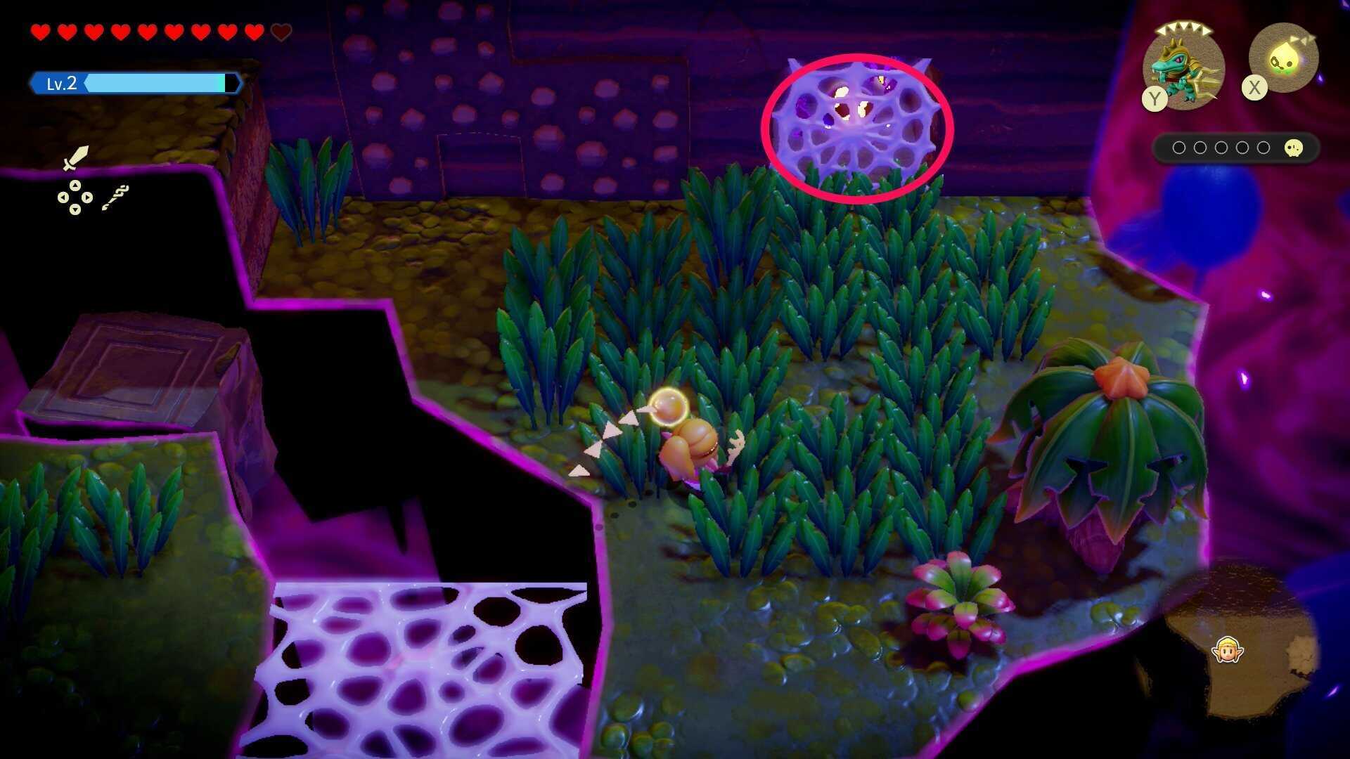 ビノビノ1匹目