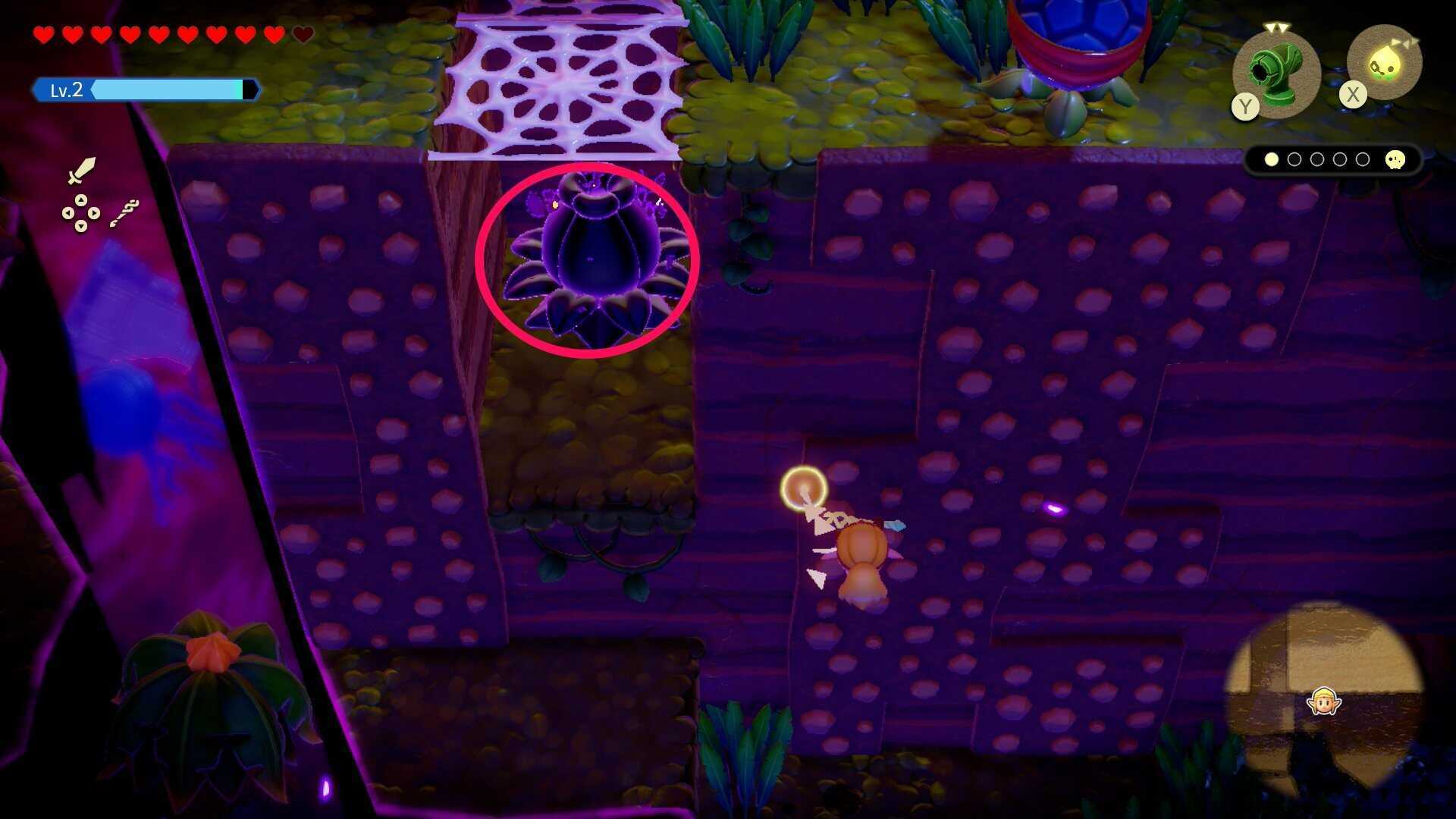 ビノビノ2匹目