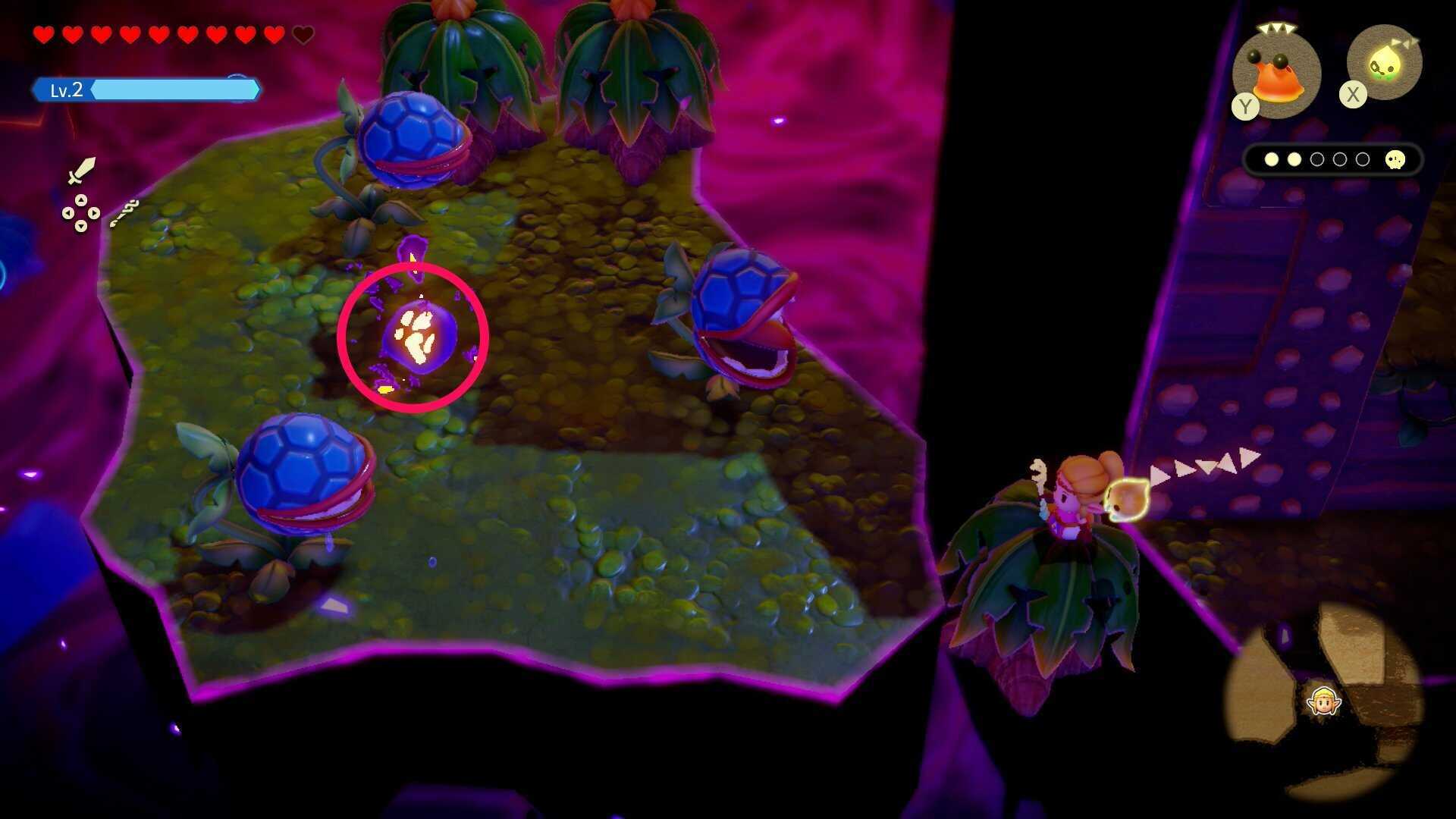 ビノビノ3匹目