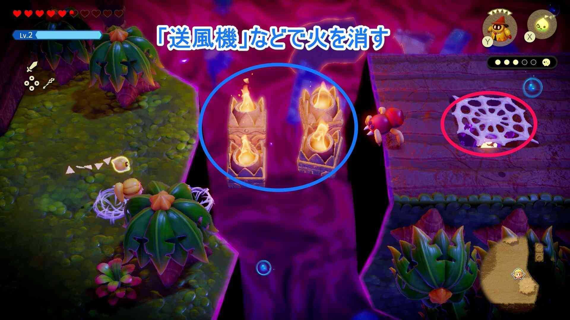 ビノビノ4匹目