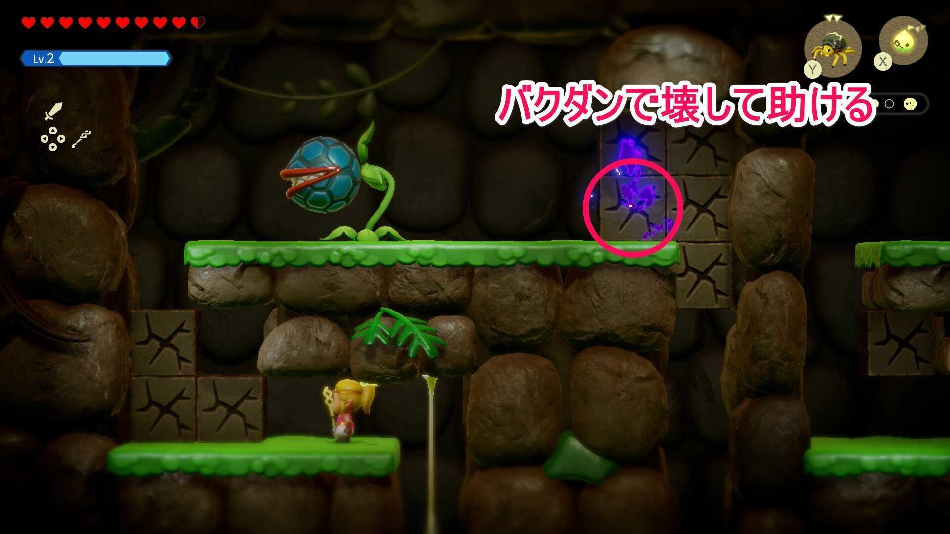 ビノビノ5匹目