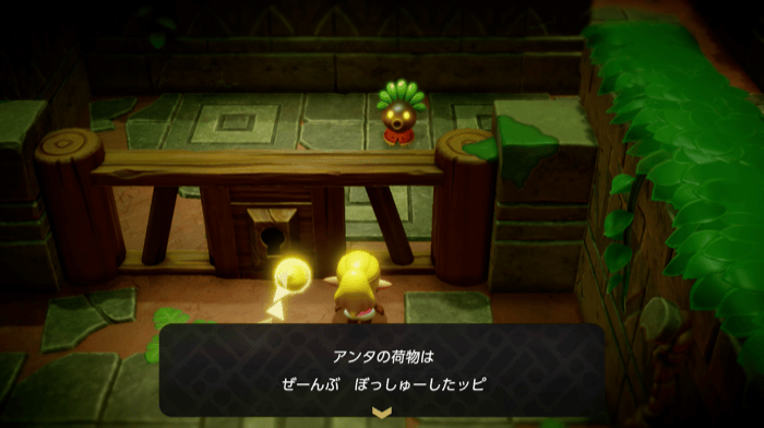 カリモノが使えなくなる