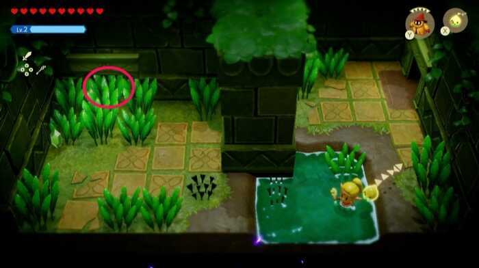 草むらの中の階段で進む