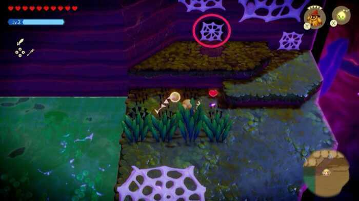 蜘蛛の巣の先に進む