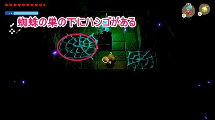 蜘蛛の巣の下にハシゴがある