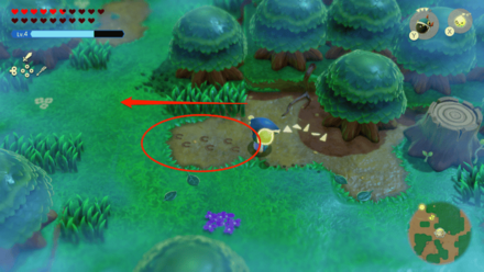 いにしえの森で足跡