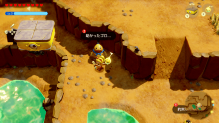 ゴロゴロゴロンレースの場所