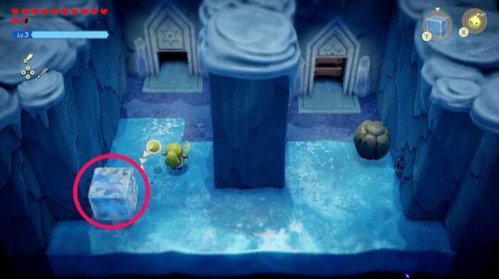 カリモノで冷たい風を防ぐ