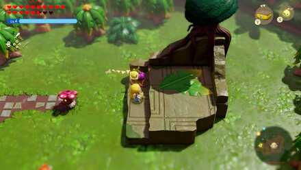 フィローネ湿原