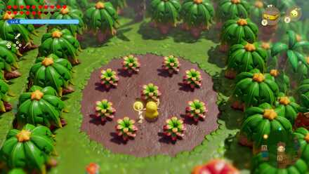 ポップアップ画像