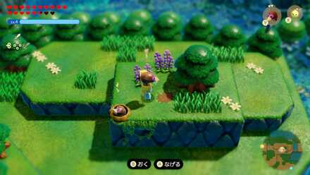 ポップアップ画像