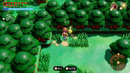 ポップアップ画像