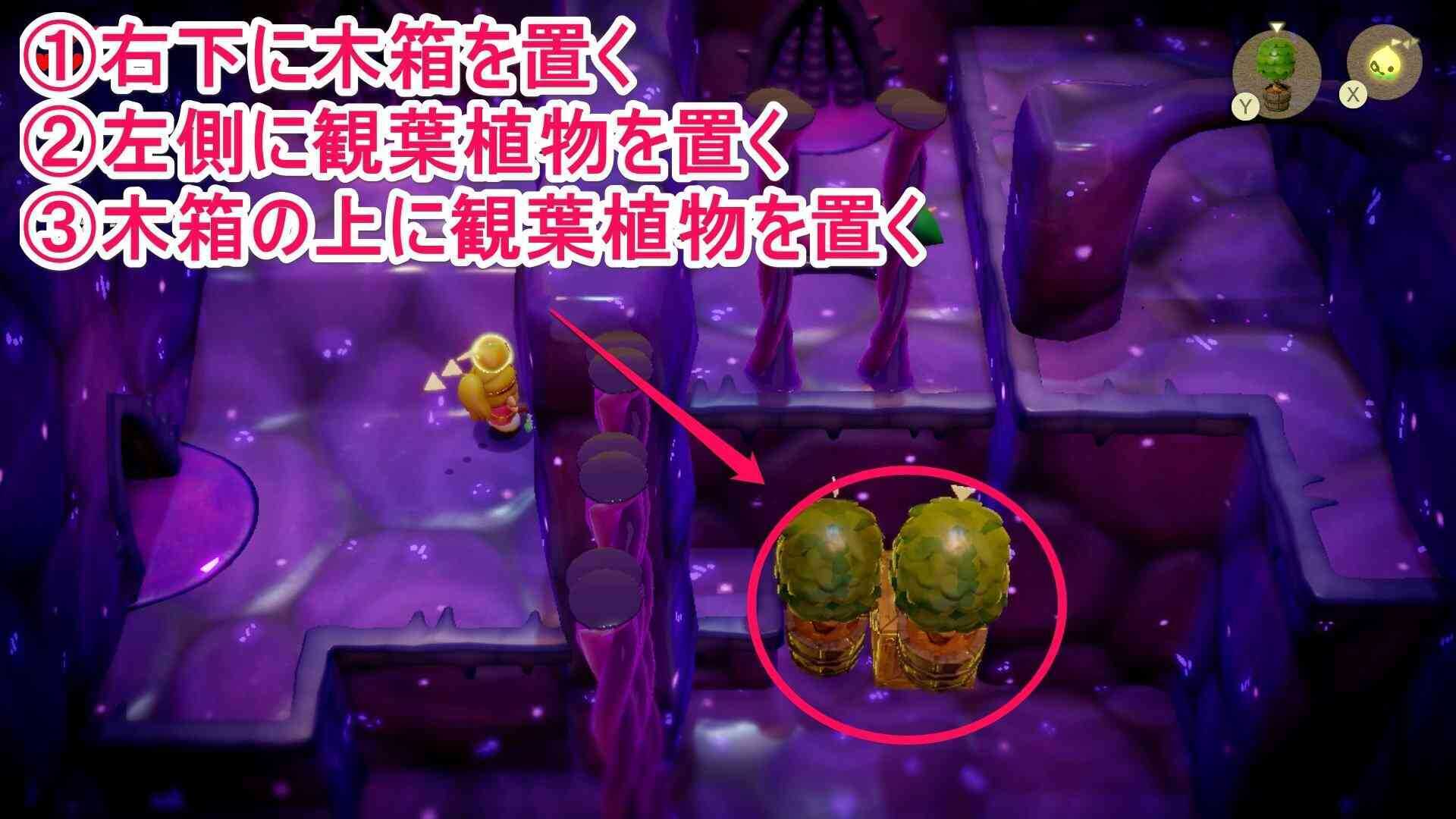 木箱と観葉植物を組み合わせてリンクを登らせる