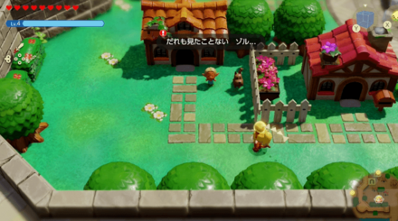 新種のゾル発見？の場所