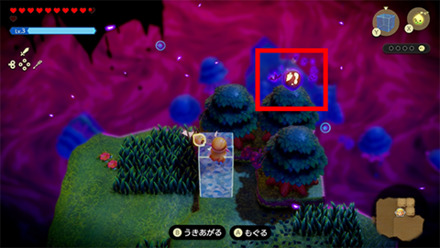 ミナミノ森1個目