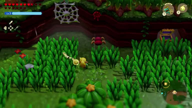 Amazon.co.jp: ゼルダの伝説 知恵のかりもの |オンラインコード
