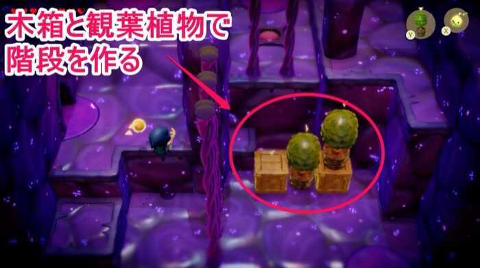 木箱と観葉植物でリンクに階段を作る