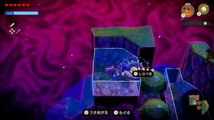 水中の黒い玉を調べる