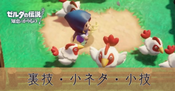 ゼルダの伝説 知恵のかりもの最安値】Switch ゼルダの伝説 知恵のかり