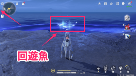 回遊魚の実際の場所