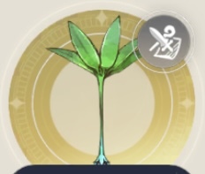 ほたる草の画像