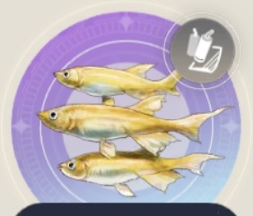 ポアソンドレの画像