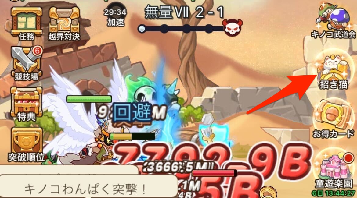 招き猫の開催日