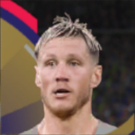 ヴァウト・ヴェフホースト画像