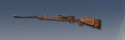 ゴールデンクマ画像