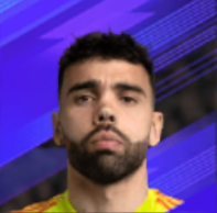 ダビド・ラヤ画像