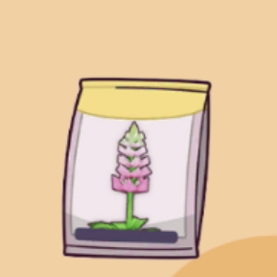 ルピナスのたね画像