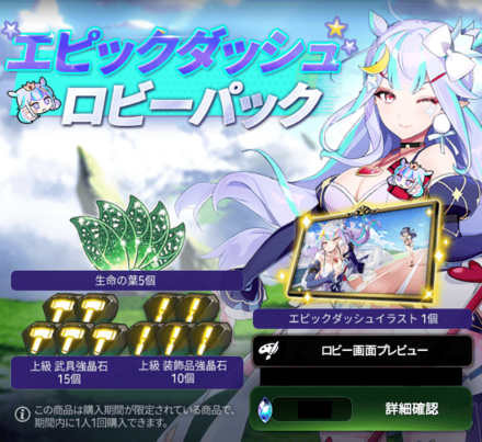 エピックダッシュロビーパック