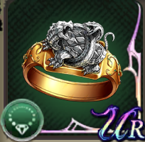 玄武の指輪の画像