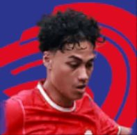 HPラファエルストレイク(10/10)画像