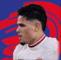 HPラフナルオラトマンフーン(10/10)画像