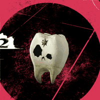 ホモ・テンタ画像