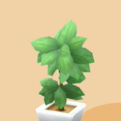 かんようしょくぶつ画像