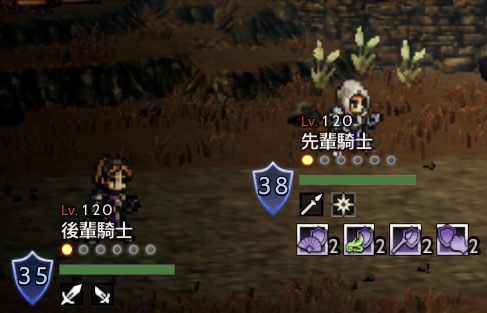 腕の立つ聖堂騎士