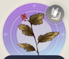 病魔退散の薬葉の画像