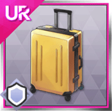 クルミのスーツケース