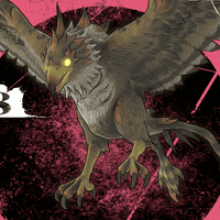 猛禽コルボ画像